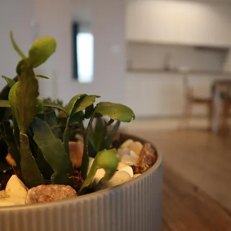 Na Ptasiej * Γκντανσκ